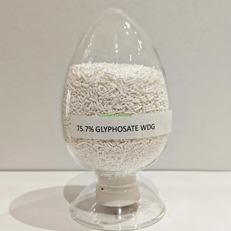 Glyphosate Ammonium 75.7% OR 680 G/KG Glyphosate Acid Model : 75.7%