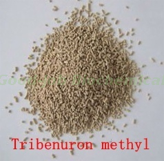 10% Tribenuron +56% MCPA NA+70% Flucarbazone-sodium WDG Herbicide for Wheat Field