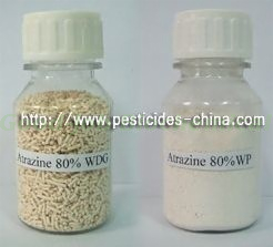 Atrazine 98%, 50% SC,80% WP, 90% WDG Cas No.:1912-24-9 (93616-39-8)