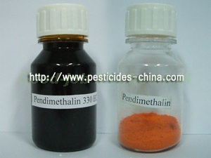 Pendimethalin 33% EC 95%TC