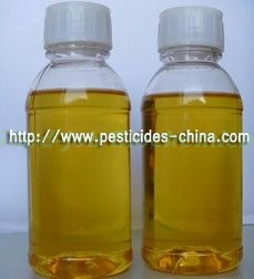 51.5% Pendimethalin · Oxyfluorfen · Acetochlor EC Herbicide for Garlic Field