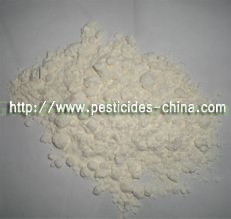 95% Glyphosate Non Seletive Herbicide China Factory Manufactuer Supply Model : 95%