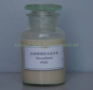 Nicosulfuron 40 G/L OD Herbicide for Corn Field