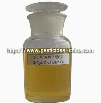  Clethodim 240 G/ L EC 