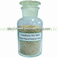 Triasulfuron 95% TC, 75% WDG