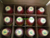 360 G/L Glyphosate SL